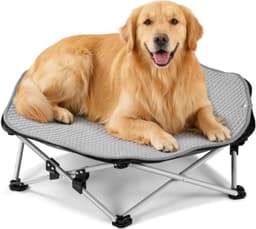 PRB-CM01 Beds Black Foldable Elevated Dog Bed Sturdy Wire Frame Portable Folding gallery image 1